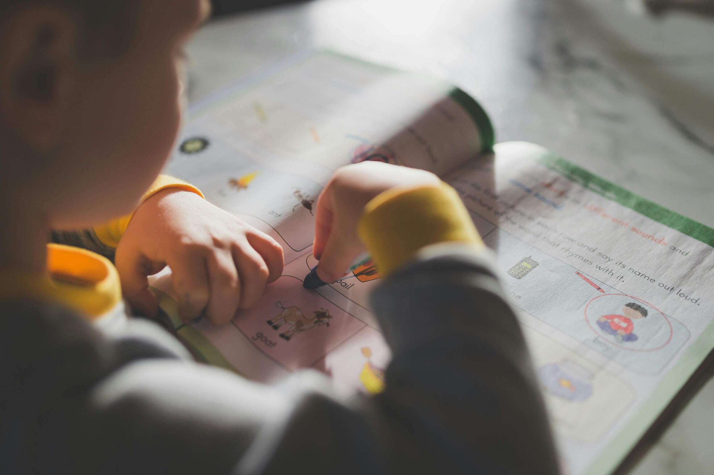 Adult hands coloring a printed page with colored pencils at a table