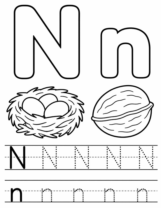 Letter N coloring page with nest, tracing letters, and handwriting lines PDF preview
